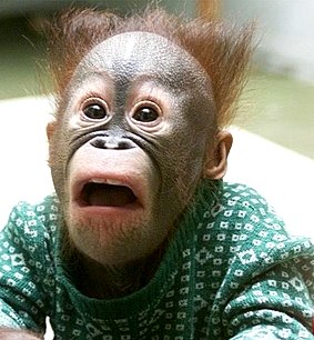 Los programas más vistos del&nbsp;martes