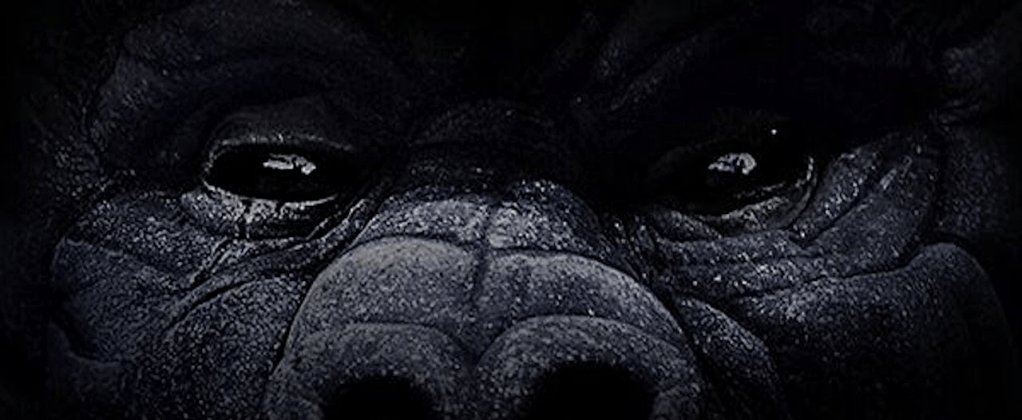 ¡Se escapa un gorila en&nbsp;Broadway!